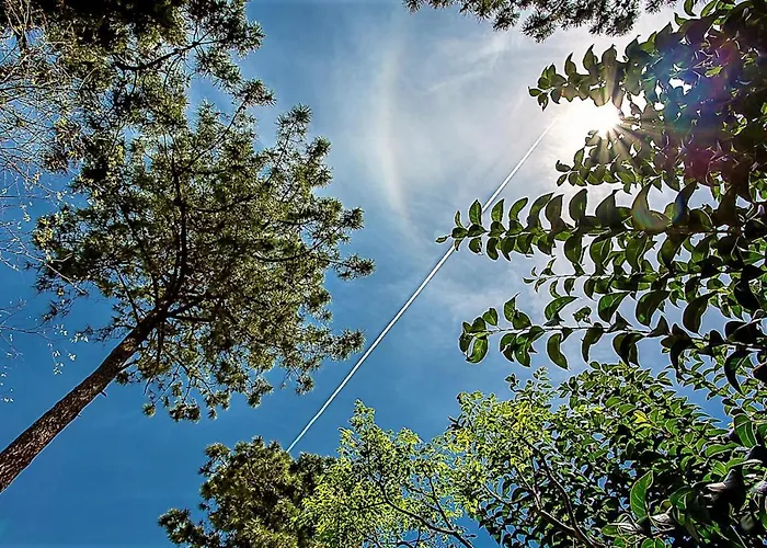 Lejlighed R5 Penthouse In Elviria Marbella