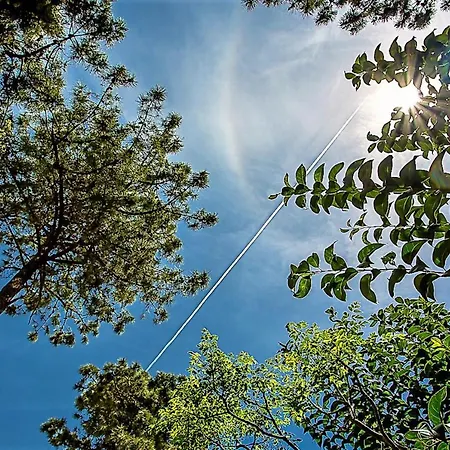 Apartman R5 Penthouse In Elviria Marbella